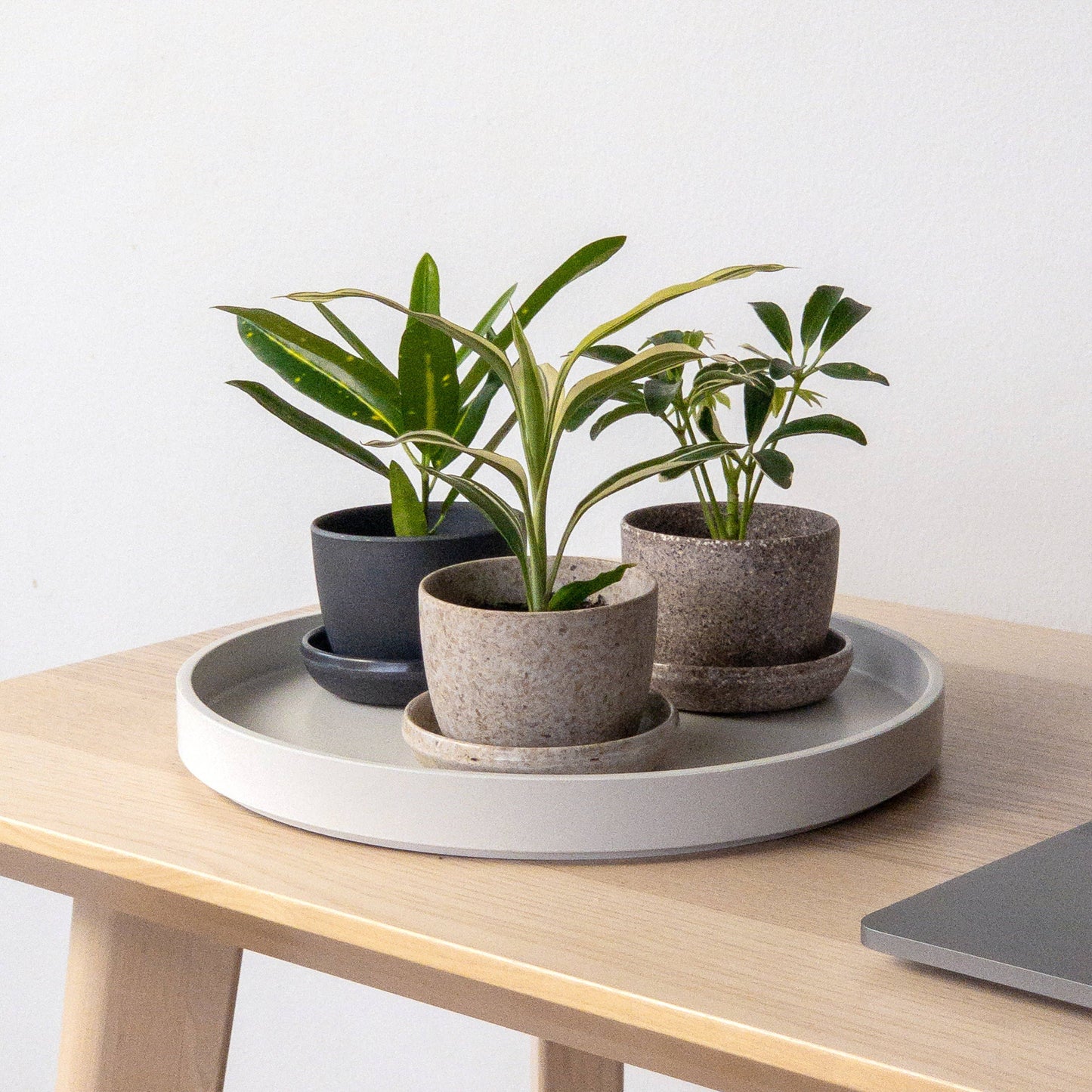 3" Mini Planter + Saucer : Rice husk
