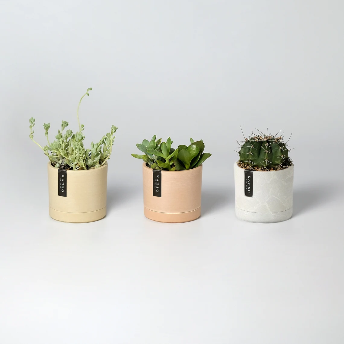 3.5" Mini Planter : White Stone
