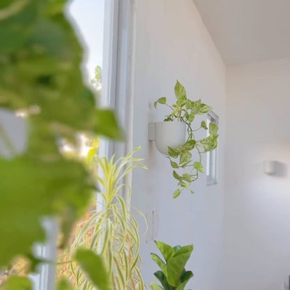 Wall Mounted Recycled Planter Pots | 5.5"