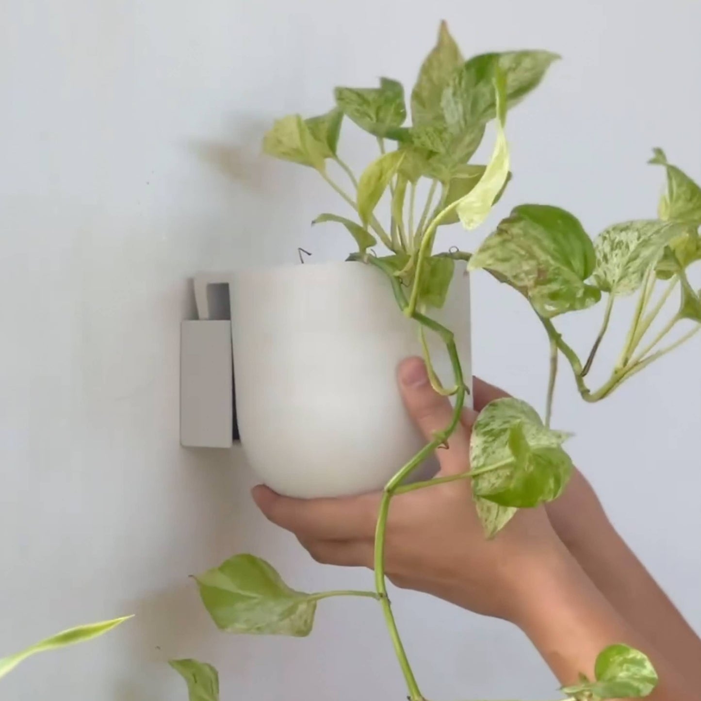 Wall Mounted Recycled Planter Pots | 5.5"