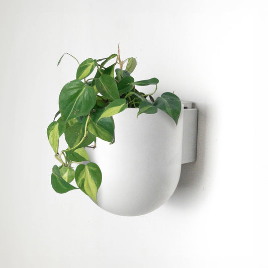 Wall Mounted Recycled Planter Pots | 5.5"