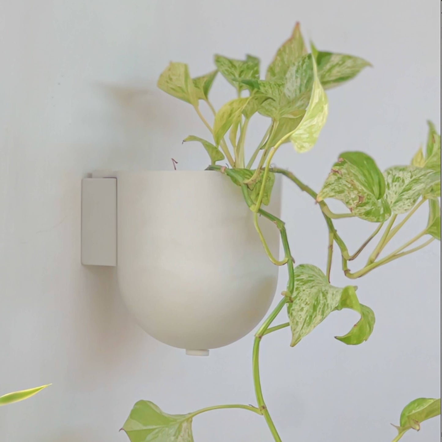 Wall Mounted Recycled Planter Pots | 5.5"