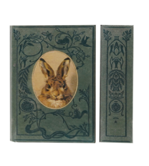 Secret Storage Books - Birds & Nests
