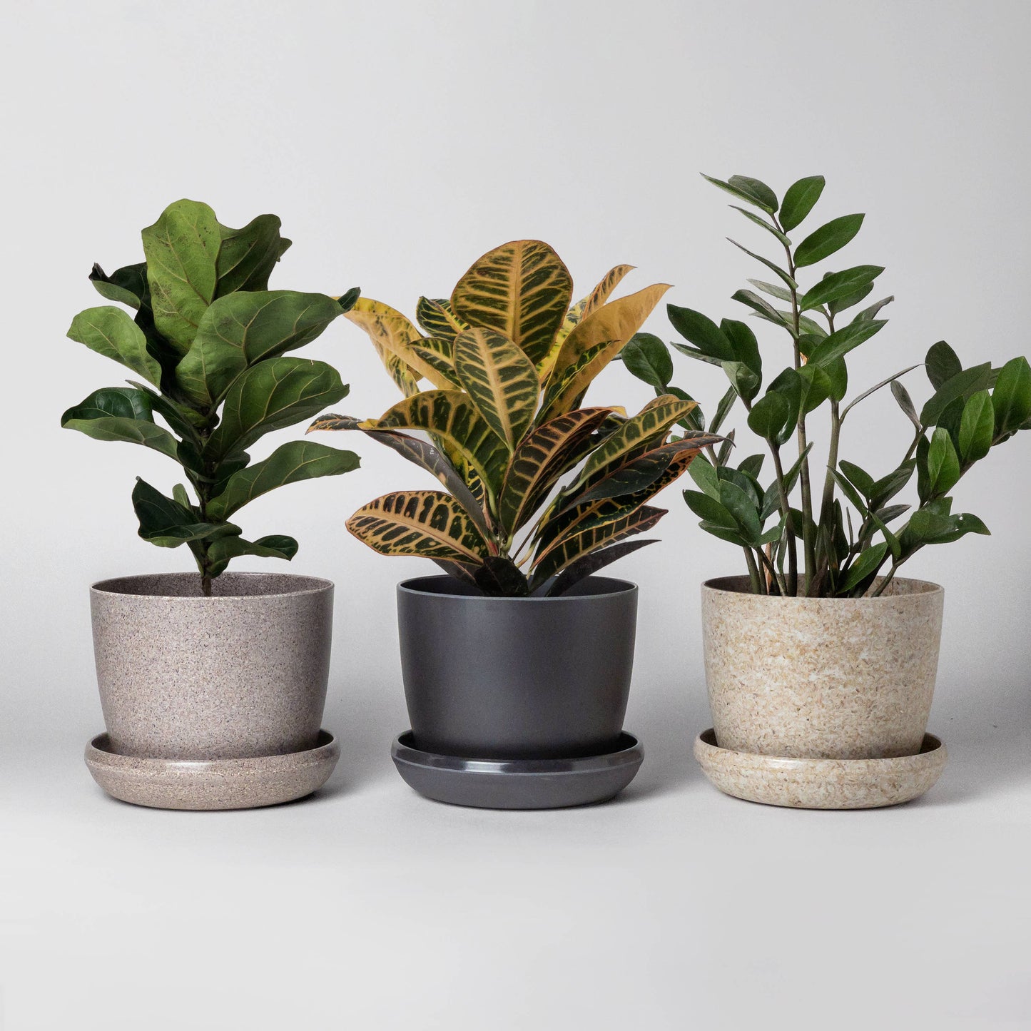 3" Mini Planters : Nut husk