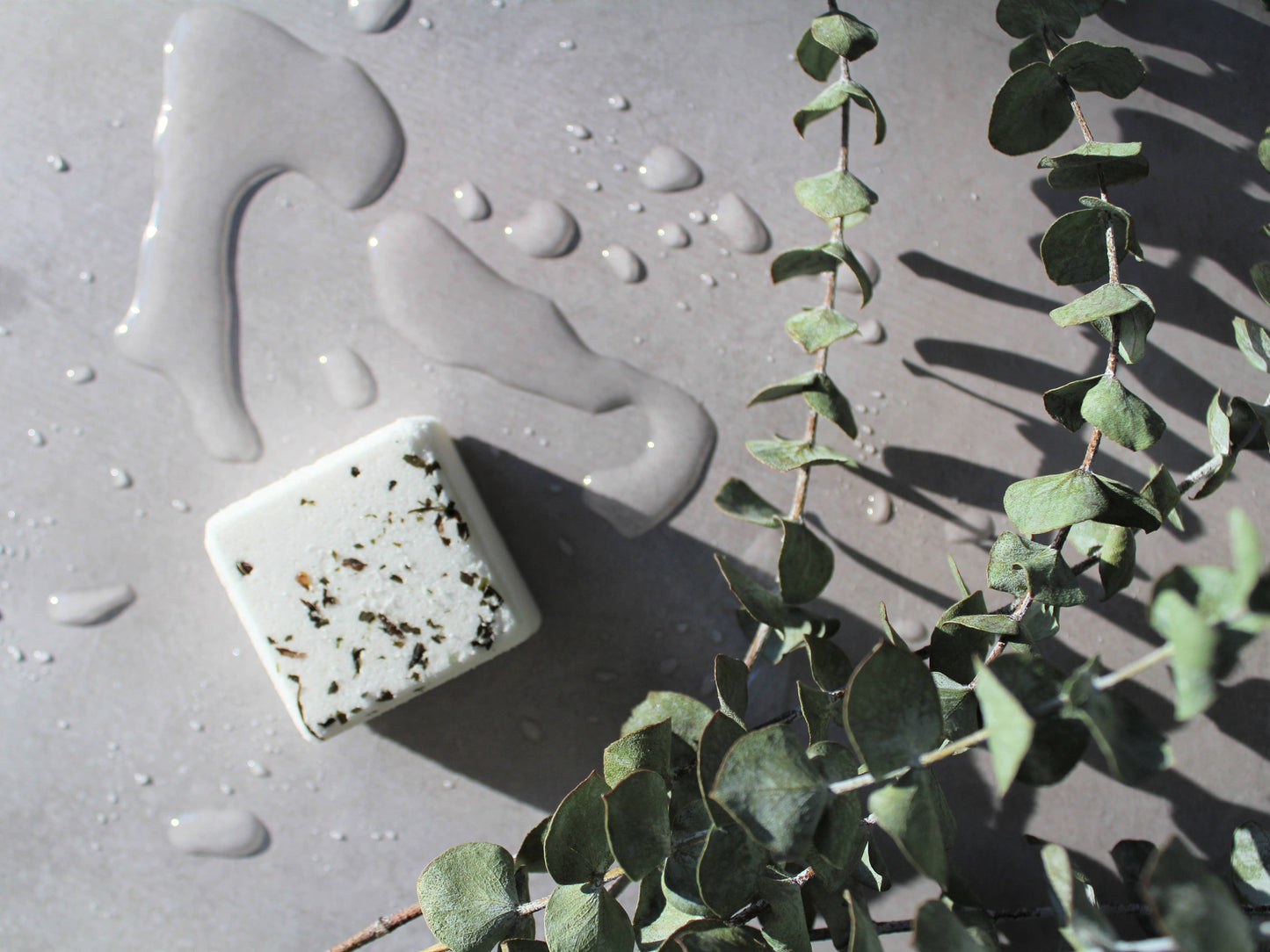 EUCALYPTUS | shower steamer