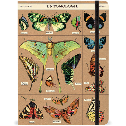 Entomology Notebook - Large