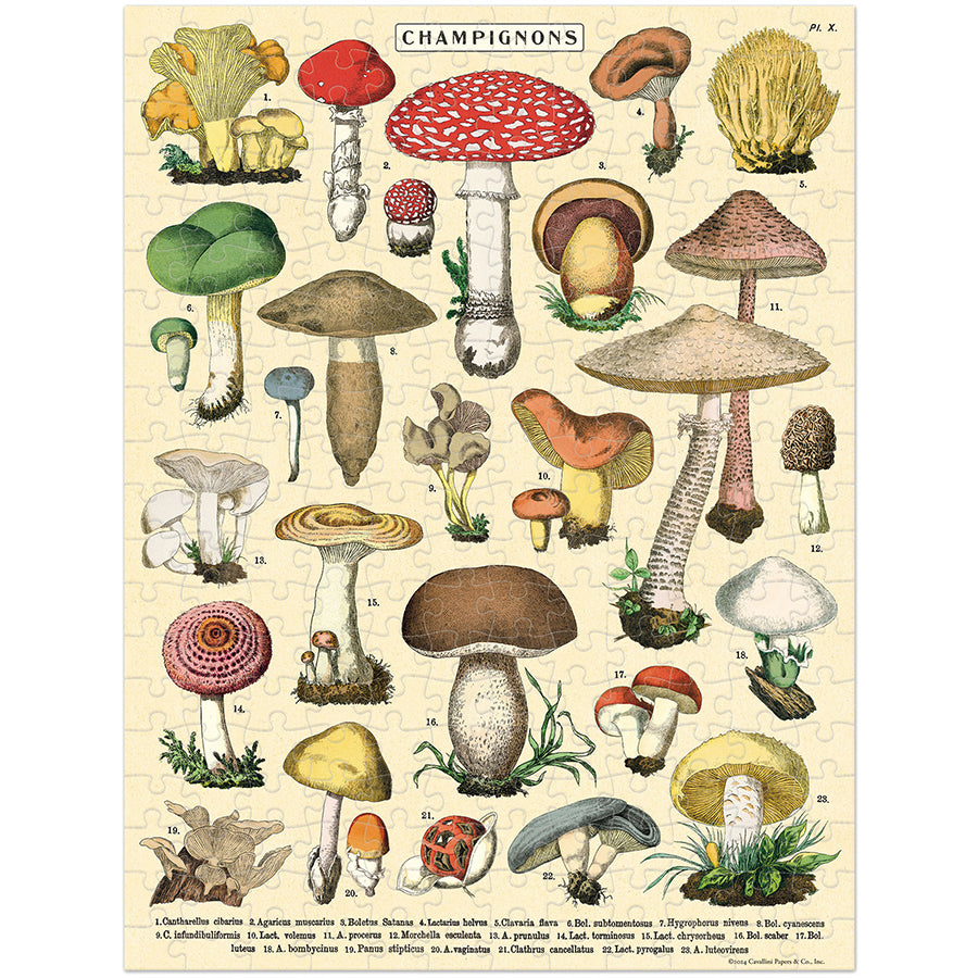 Vintage Mushroom Mini Puzzle