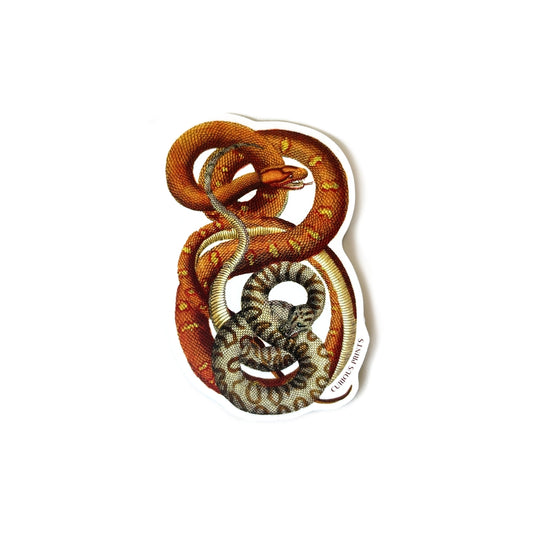 Snakes Vintage Sticker