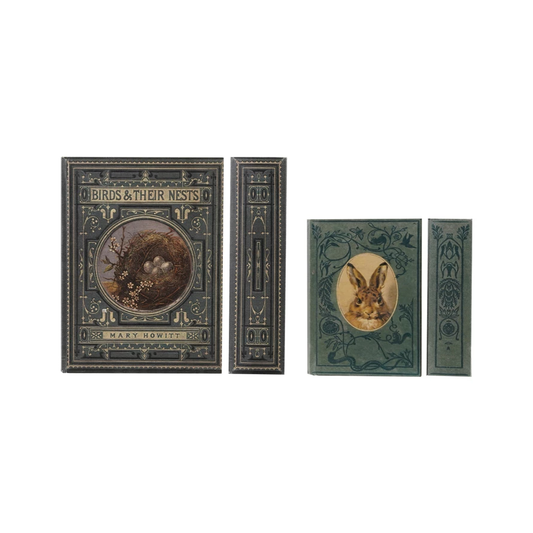 Secret Storage Books - Birds & Nests