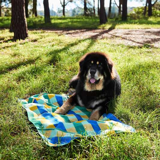 Puppy Plaid - Large Dog Towel