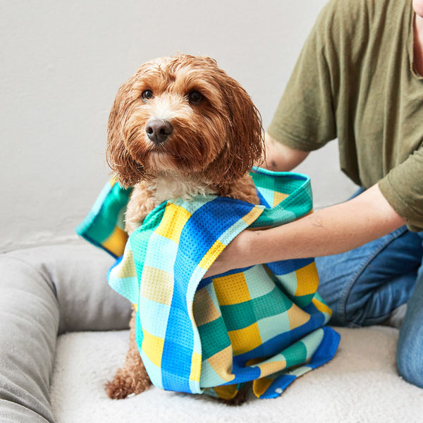 Puppy Plaid - Small/Medium Dog Towel