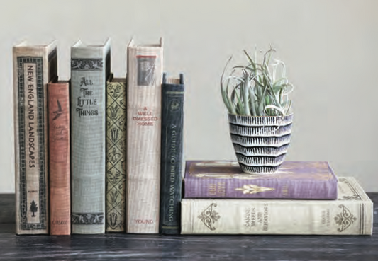Secret Storage Books - Small