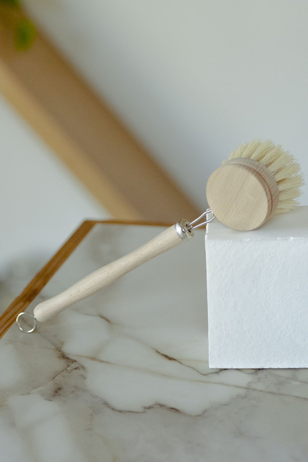 Dish Washing Brush - Long Handle
