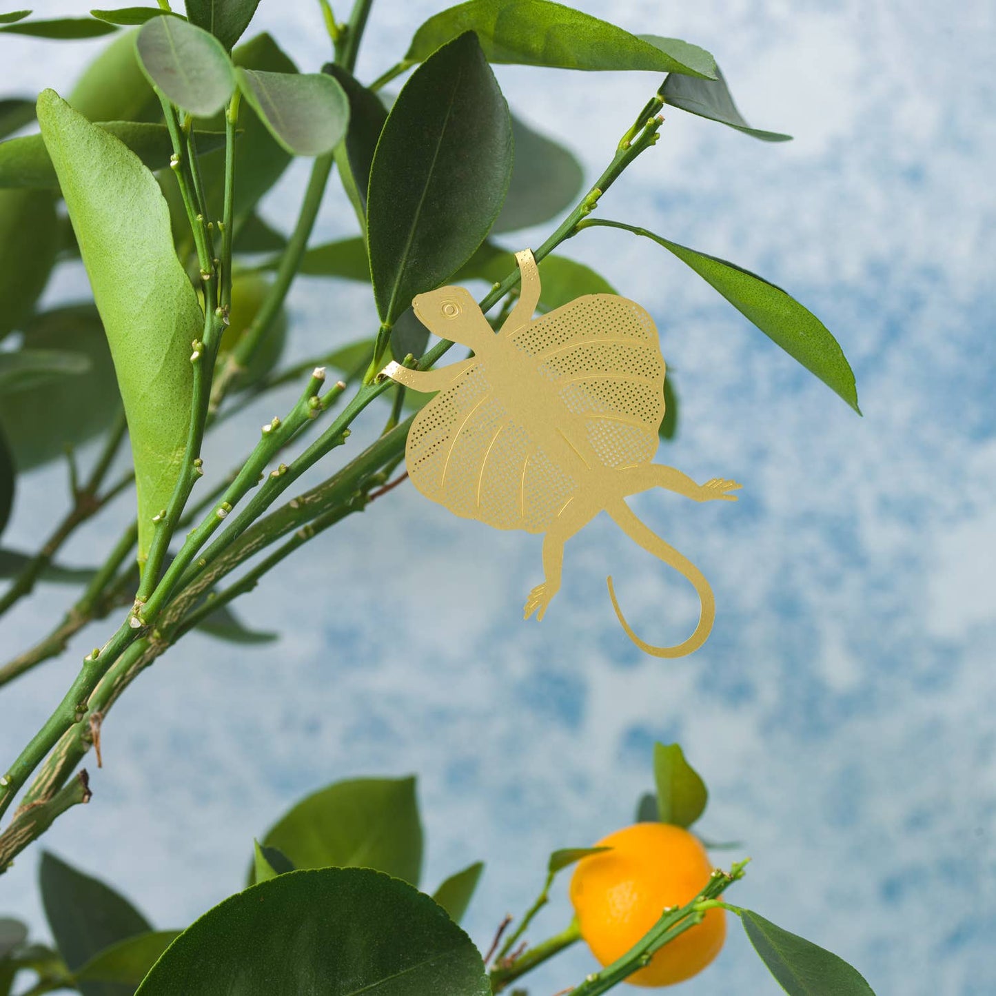 Flying Lizard - Plant Animal